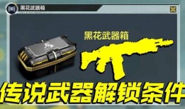 黑花武器箱最新爆料,神秘武器即將亮相，戰(zhàn)斗狂潮一觸即發(fā)！