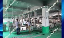 丸子加工爆料視頻,揭秘幕后制作過程與細(xì)節(jié)