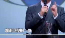 湖南衛視一哥爆料視頻,揭秘娛樂圈幕后真相