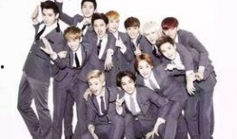 圈內(nèi)爆料exo真實性格,揭開明星光環(huán)下的真實性格面紗