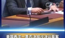 芮城熱點爆料新聞視頻,最新爆料新聞視頻聚焦事件回顧