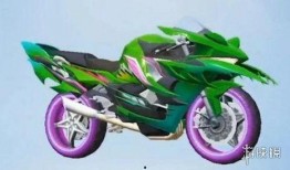 摩托車皮膚最新爆料,炫酷設計，引領潮流新風尚