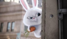 娛樂吃瓜小兔子小說,小兔子吃瓜記