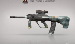 黑花武器箱最新爆料,神秘武器即將亮相，戰(zhàn)斗狂潮一觸即發(fā)！