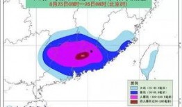 臺風爆料最新情況,揭秘‘臺風爆料最新情況！”