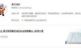 漯河爆料新聞事件視頻,驚曝真相，揭秘背后驚人內幕