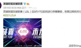 pec最新爆料,最新爆料揭示行業驚人內幕