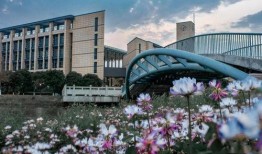 吳川學校爆料視頻大全集,揭秘校園風云錄