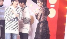 最新圈內(nèi)爆料王俊凱楊紫