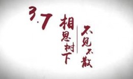 天涯最新爆料2017,揭秘當年熱點事件背后的真相