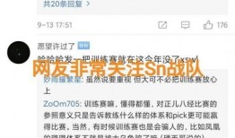 s10訓練賽最新爆料,神秘陣容崛起，巔峰對決一觸即發！