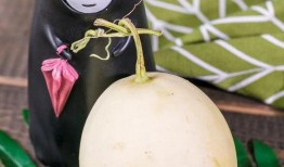 免費吃瓜入口怎么找不到,探尋網絡神秘現象背后的真相