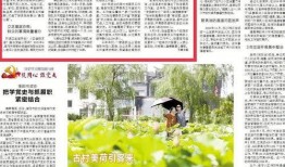 岳陽頭條最新爆料,揭秘岳陽某神秘事件真相！