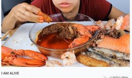 美食網(wǎng)紅被爆料視頻,揭秘幕后真相