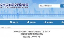 武漢長江爆料最新消息視頻,揭秘視頻背后的驚人真相