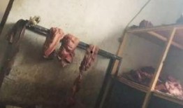 驢肉造假爆料視頻,視頻曝光驚人內幕