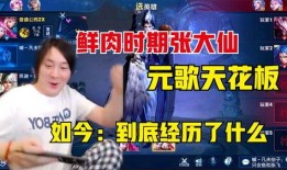 雷諾爆料二小姐期間視頻,二小姐神秘視頻揭秘