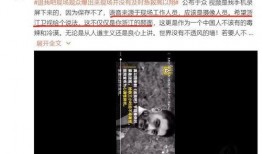 爆料人的故事視頻播放時間,視頻背后，爆料人講述真實故事時長背后的秘密