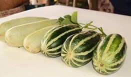 網(wǎng)紅吃瓜不免費(fèi),免費(fèi)還是付費(fèi)？