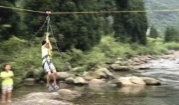 老林爆料知名教練視頻,老林獨家爆料，健身界風云再起