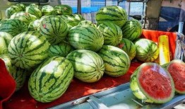 拉薩網紅吃瓜事件真相揭秘,真相與誤解的交織