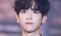 韓娛爆料邊伯賢視頻合集,星光璀璨的舞臺瞬間，獨家視頻合集回顧