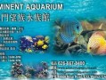 新聞爆料海魚視頻下載免費,暢享海洋生物精彩瞬間