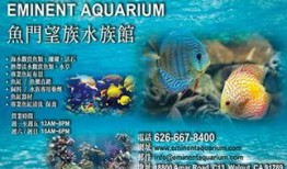 新聞爆料海魚視頻下載免費,暢享海洋生物精彩瞬間