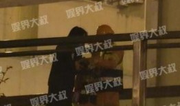 近日娛樂爆料事件視頻,揭秘近日娛樂圈驚人內幕