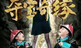 奪寶奇緣在線觀看,驚險尋寶之旅，揭秘寶藏背后的傳奇故事