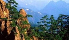 娛樂吃瓜君黃山,揭秘娛樂圈背后的那些事兒