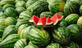 拉薩網紅吃瓜事件真相揭秘,真相與誤解的交織