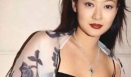 圈內(nèi)爆料陳寶蓮視頻完整版,圈內(nèi)驚人爆料揭秘