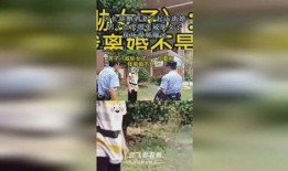 女子爆料男子離婚視頻,視頻揭露婚姻破裂真相