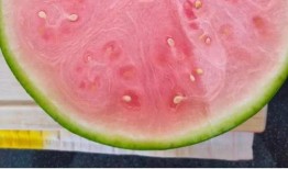 吃瓜網免費官網全球,全球熱點一網打盡，暢享無界限的娛樂盛宴