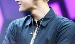 圈內(nèi)爆料exo真實性格,揭開明星光環(huán)下的真實性格面紗