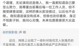 爆料張姓藝人名單大全最新,張姓藝人名單大全最新爆料，娛樂圈風(fēng)云再起