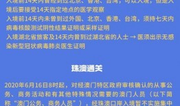 澳門最新政策爆料視頻,視頻爆料揭示關(guān)鍵細(xì)節(jié)
