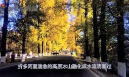 娛樂吃瓜君黃山,揭秘娛樂圈背后的那些事兒