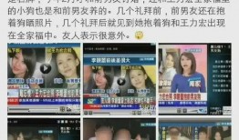 爆料真實(shí)視頻事件大全集,驚心動(dòng)魄的瞬間回顧