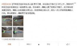 信陽(yáng)爆料女子死亡案件最新,悲劇背后揭開驚人真相