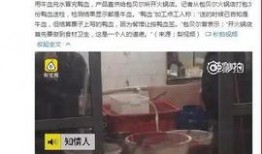 黃磊知乎爆料視頻大全,揭秘娛樂圈背后的故事