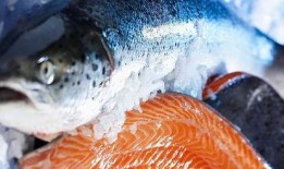 新聞爆料海魚視頻下載免費,暢享海洋生物精彩瞬間